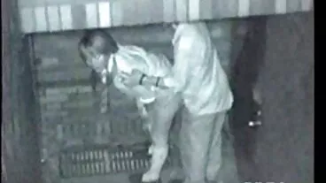 יופי חיוור מקבל חלק ניכר מהגבריות האפלה