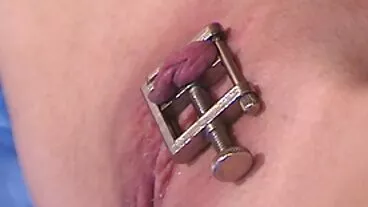 מה לעזאזל אתם עושים?
