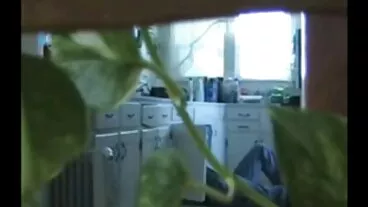 להלום ברונטית תאוותנית זה הרבה יותר טוב כשזה אסור