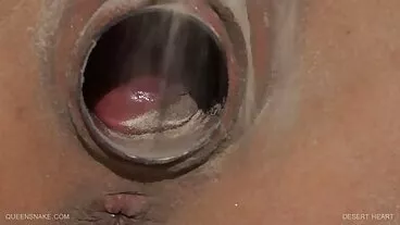 Busty MILF מזמינה Manmeat משלוח עד הבית